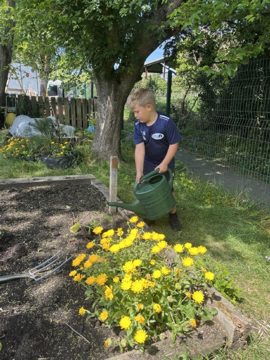 Gardening Club